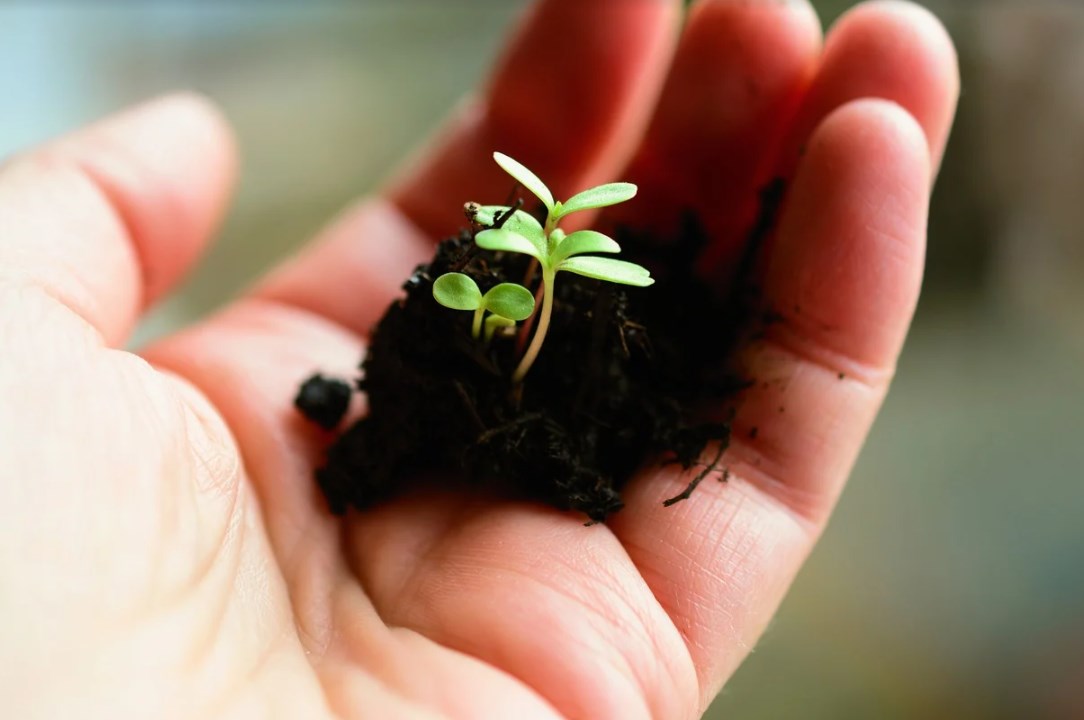 Výhled nerušeného růstu a podpory udržuje optimismus na trzích