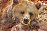 Perly týdne: Medvěd, ale jen cyklický