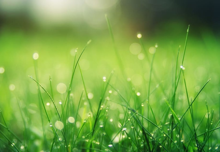 Úvod týdne by mohl zahájit se zisky, Nidetzký z ČNB je pro silnější utahování, ropa je u 70 dolarů