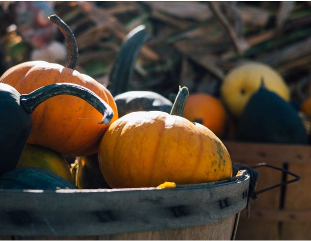 Je tu možná nejhorší měsíc v roce na akciovém trhu. Mají se investoři bát korekcí?