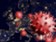 Handelsblatt: Východní Evropa by z koronaviru mohla těžit