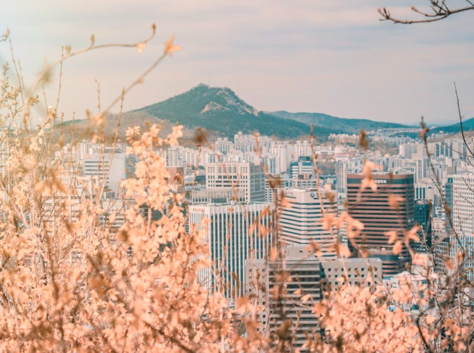 AI přebíjí geopolitiku. Analytici masivně zvyšují odhady zisků firem z rozvíjejících se trhů