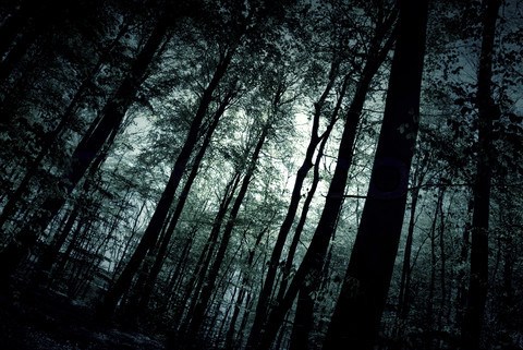 Noční můry investorů v roce 2015