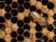 Zkáza včelstev ohrožuje úrodu mandlí. Ceny na osmiletých maximech