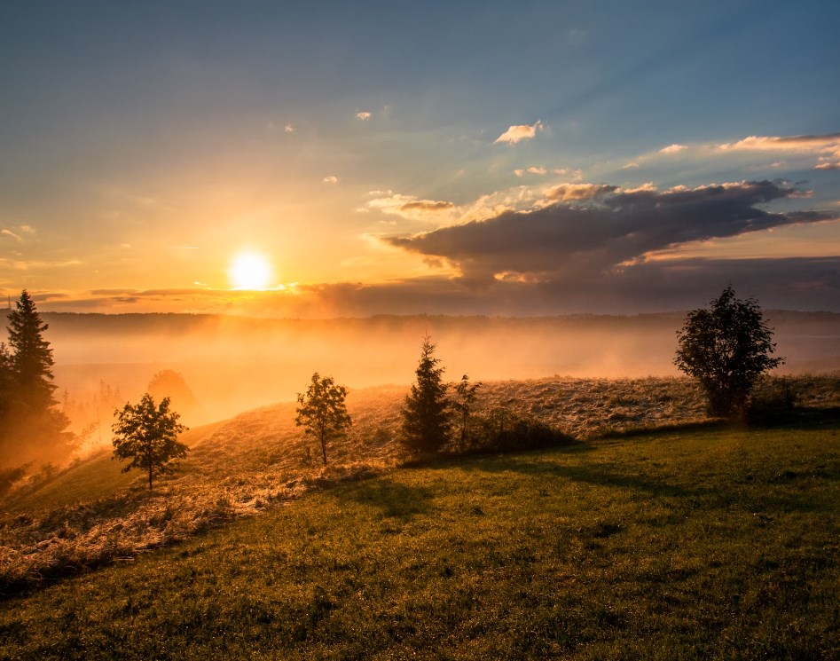 ČEZ zítra oznámí výsledky, Donald Trump plánuje první kroky na postu prezidenta a futures jsou zelené