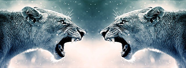 Rozbřesk: Trhy začínají počítat s agresivnějším růstem sazeb v ČR. A ještě pár slov k inflacím