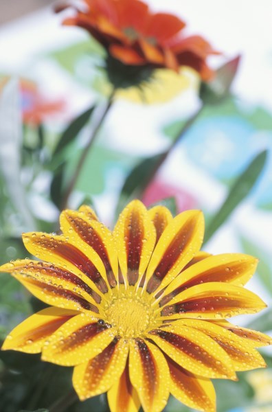 Burzy o Velikonocích