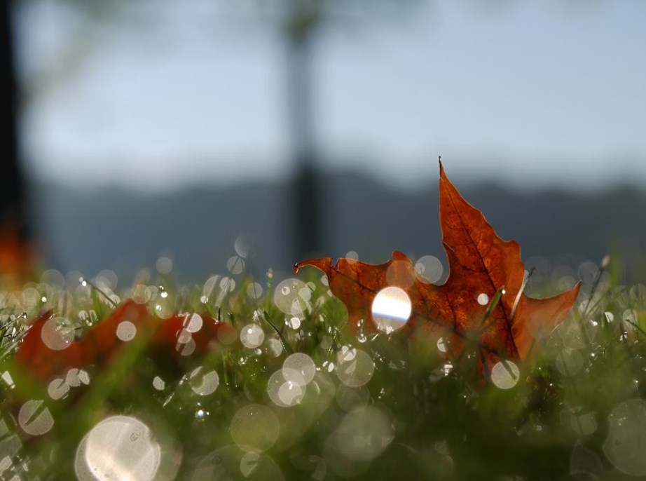 KB překonala očekávání trhu, USA a Čína se sbližují a výsledky big techu