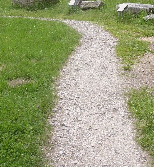 Komerční banka a Unipetrol našly svou vlastní cestu, zbytek bloudil jako většina v záporu