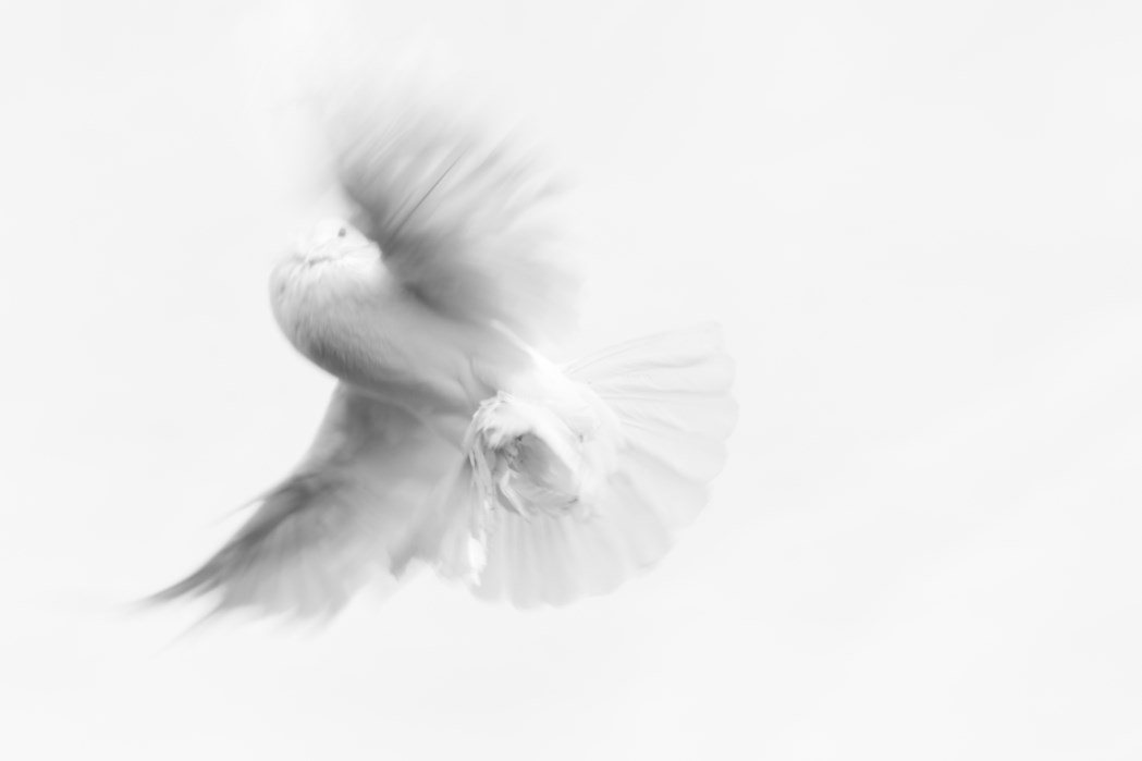 Na dnešním programu rozhodnutí o sazbách ČNB, jasno ohledně mimořádné daně by mělo být do 10. září