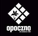 Opoczno - 4Q07 results much below consensus