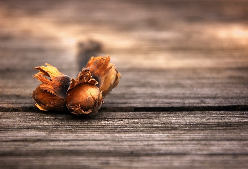 Rozbřesk: Tři oříšky pro českou ekonomiku