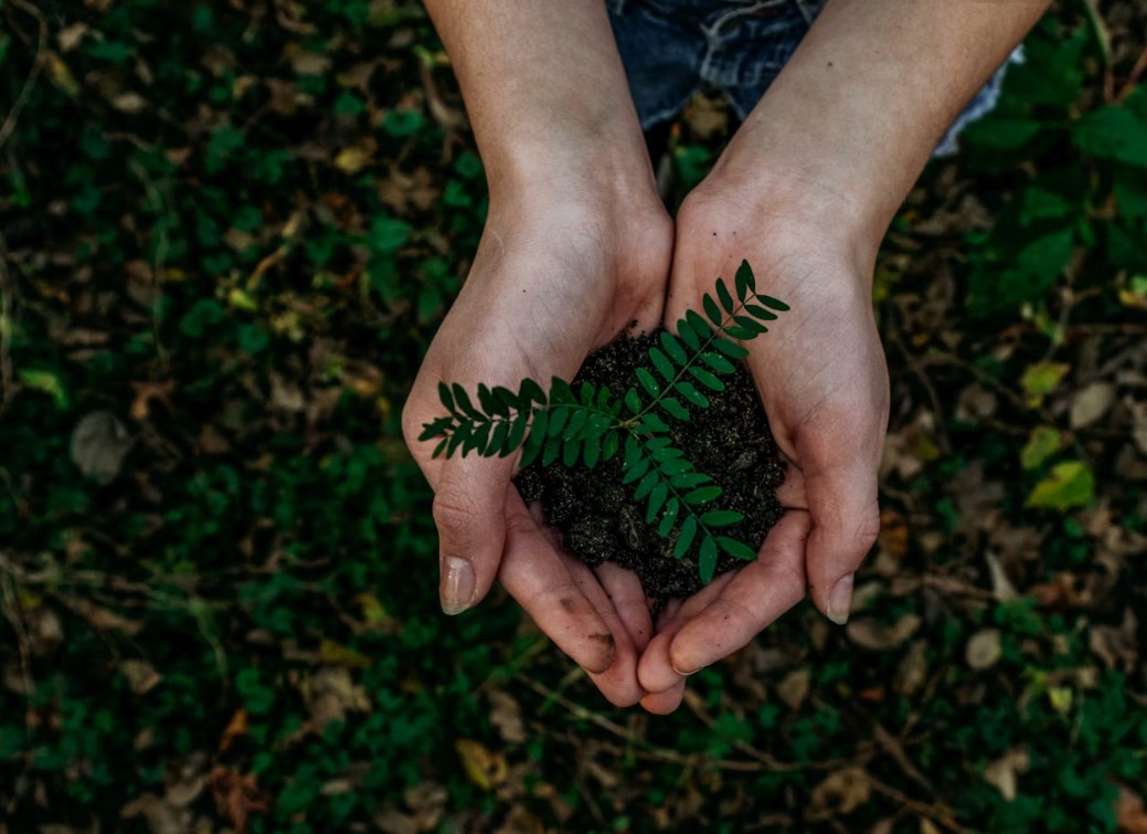 Víkendář: Plán na zlepšení světa, nebo cvičení v environmentální diktatuře?
