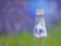 PepsiCo díky vyšší poptávce i růstu cen navýšila čistý zisk a zlepšila výhled PepsiCo díky vyšší poptávce i růstu cen navýšila čistý zisk a zlepšila výhled