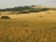 KDU-ČSL: Ministerstvo zemědělství je podmínkou vstupu do vlády