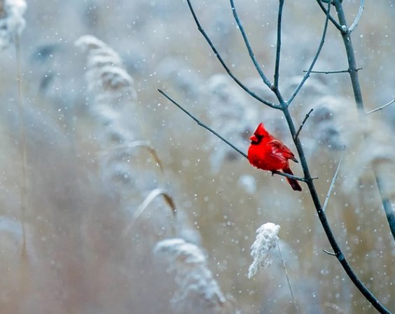 Obavy z role Číny v rusko-ukrajinském konfliktu vyvolává další výprodeje. Futures jsou červené