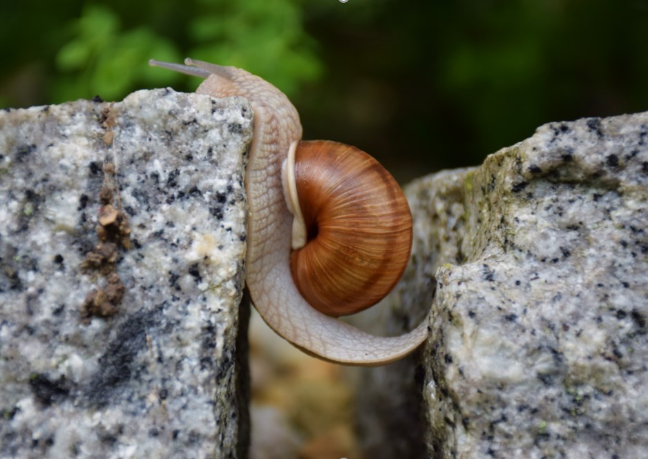 Monetární asymetrie mezi USA a Evropou se bude prohlubovat
