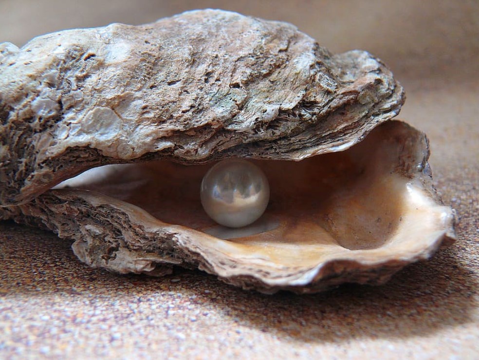 Perly týdne: Mistrovská strategie Fedu a čekání na nákupní korekci