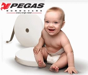 ČIA: Pegas spustí osmou výrobní linku 8. listopadu