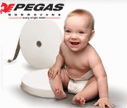 Pegas: Settlement of Pamplona's 43.4% sales 