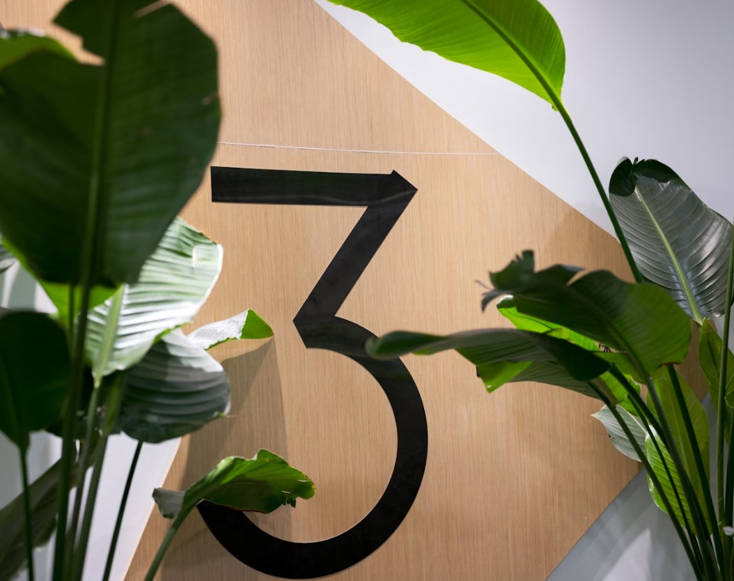 AI jako investiční motor. Tři akcie, na které sází elita z Wall Street