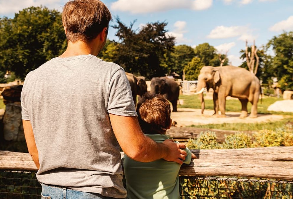 Rozbřesk: Česko versus Německo = tvrdý lockdown versus otevřená kadeřnictví a ZOO