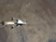 Akcie Virgin Galactic po úspěšném letu vystřelily ke hvězdám Akcie Virgin Galactic po úspěšném letu vystřelily ke hvězdám