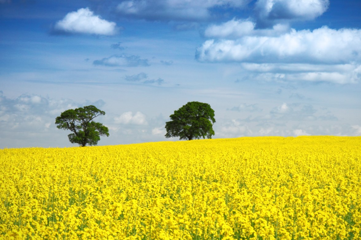 Summit EU pohrozil Rusku dalšími sankcemi. Ukrajině členství neslíbil, EU by jí ale mohla poslat další peníze na zbraně