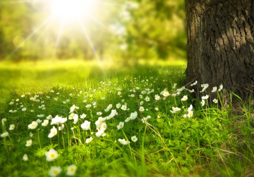 ČNB žádá banky o větší opatrnost při výplatě dividend, futures jsou v zeleném