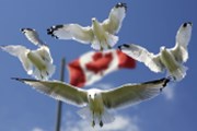 Obchodní dohoda USA-Kanada zatím není, podle Ottawy je na dosah