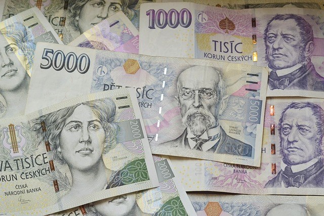 Zahraniční investoři drží 28,1 procenta českých státních dluhopisů