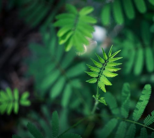 Komerčka oznámila výsledky, Fed utáhl své masivní stimuly a futures jsou v zeleném