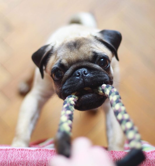 Amerika se k růstu akcií nepřipojuje, nová data přetlačila Čínu