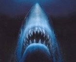 Trhy pod vlivem Čelistí