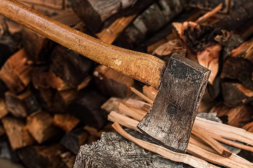 Avast oznámil výsledky, akcie Tesly se budou rozdělovat