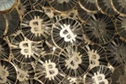Bitcoin - ostří digitálního věku rozsekne starou podobu peněz