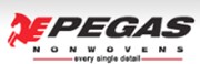 Pegas Nonwovens SA increased its 1Q 2007 results