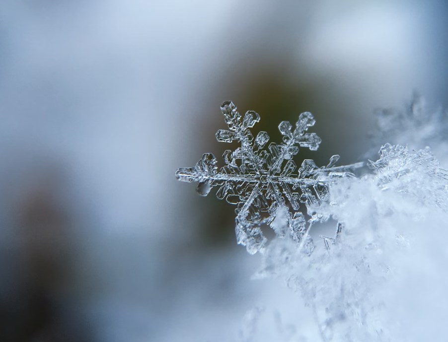 Musk možným kupcem TikToku, Trumpův tým zvažuje postupné zvyšování cel a evropské akcie jsou smíšené