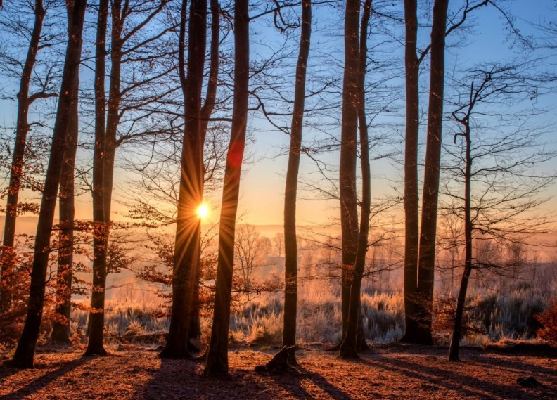 EU je připravena omezit ceny plynu, guvernér japonské centrální banky šokoval změnou řízení výnosové křivky a futures jsou v červeném