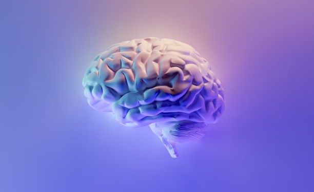 Synchron získal 200 milionů dolarů na méně invazivní technologii, která umožní ovládat počítač myšlenkami