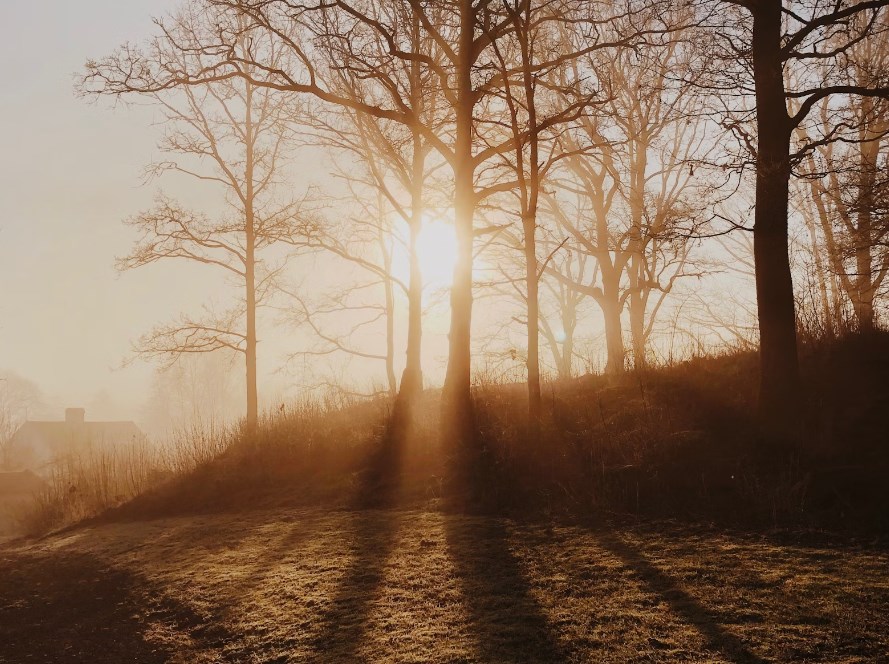 ECB dnes pravděpodobně ponechá sazby beze změny, akcionáře Tesly zprávy Elona Muska nepotěšily a futures jsou červené