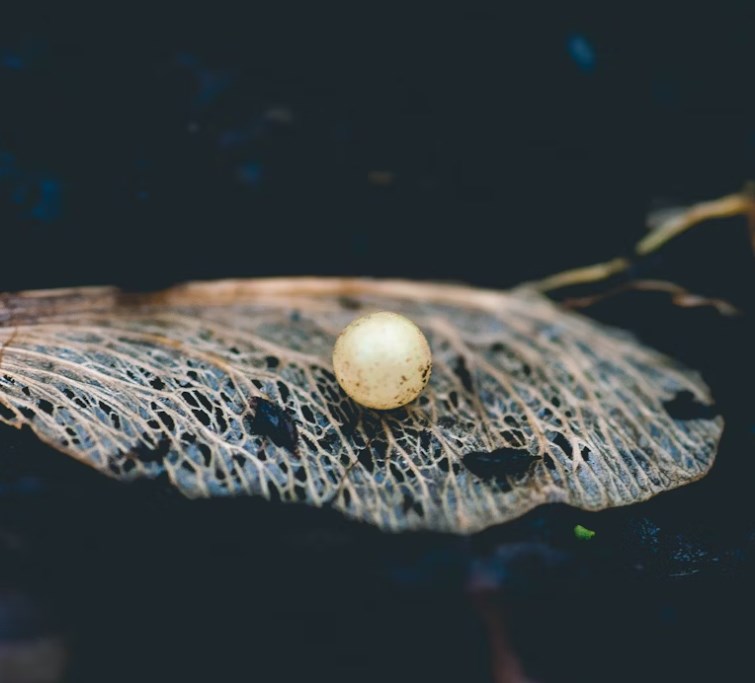 Perly týdne: Které akcie nejvíce těží z AI