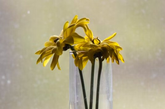 Sentiment na akciích odpoledne vadne, výsledky bank nenadchly