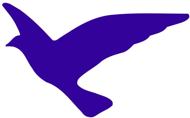 O vládě jednejme s ČSSD a ne s VV, říká místopředseda ODS pro Právo