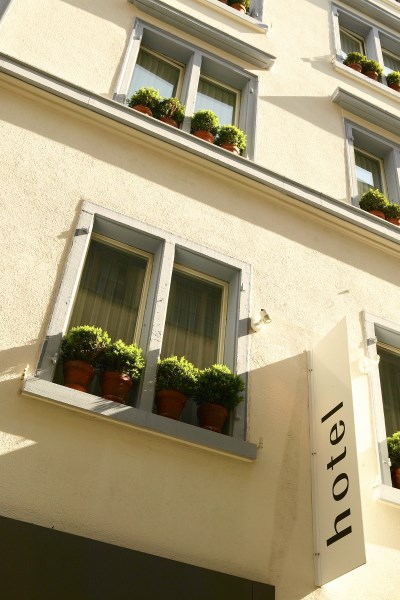 Orbis - 2Q09 earnings preview