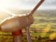 Z farmáře opět traderem. Obnovitelné zdroje přitahují na trh s energiemi staronové hráče Z farmáře opět traderem. Obnovitelné zdroje přitahují na trh s energiemi staronové hráče