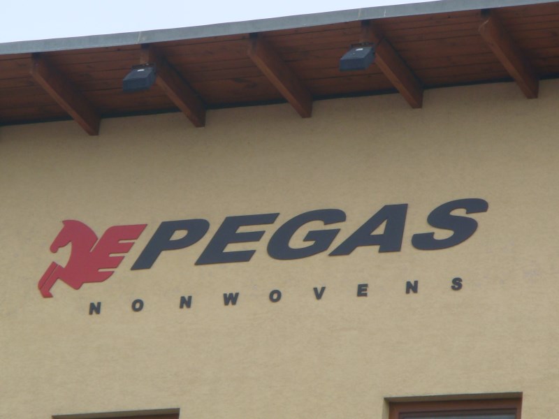 Pegas meziročně zvýšil tržby o pětinu a letos čeká růst EBITDA o 2-7 %