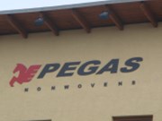 Pegas meziročně zvýšil tržby o pětinu a letos čeká růst EBITDA o 2-7 %