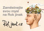 Pracujte Rok jinak - pro neziskovku, ale za svůj stávající plat