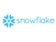 Komentář analytika: Akcie Snowflake šílí z uspokojivého kvartálu a výhledu